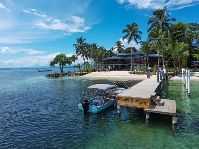 Drone Dock View