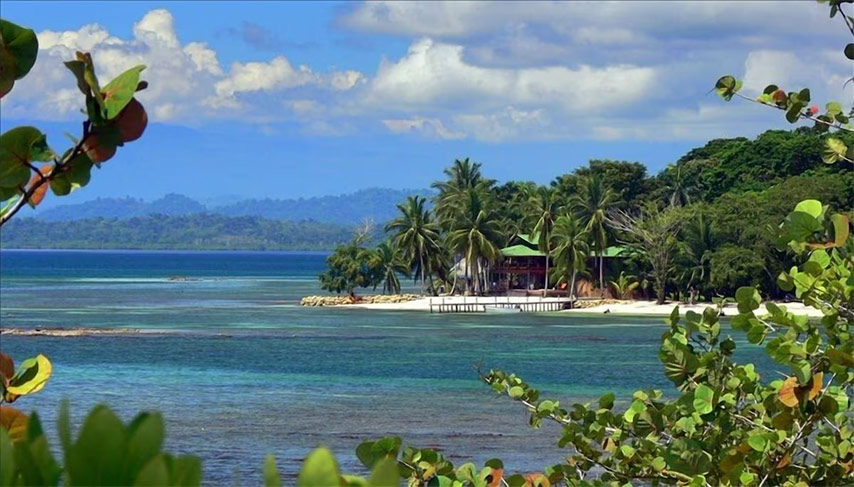 Jungle to Ocean to Home Picture
